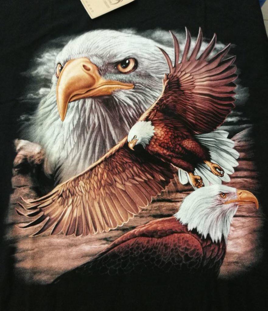 Bedruckte T-Shirts mit Tiermotiv für Damen und Herren - Adler Weißkopfseeadler im Flug - gründlich sparen - einkaufen in bad grund 