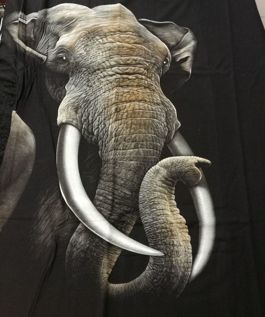 Bedruckte T-Shirts mit Tiermotiv für Damen und Herren - Elefant - gründlich sparen - einkaufen in bad grund 