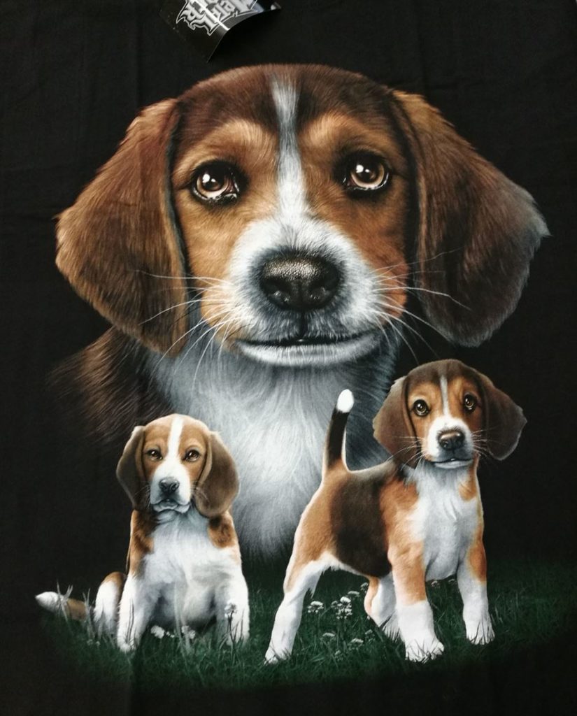 Bedruckte T-Shirts mit Tiermotiv für Damen und Herren - Hund Beagle - gründlich sparen - einkaufen in bad grund 
