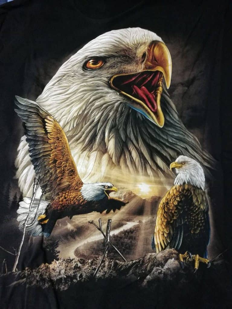 Bedruckte T-Shirts mit Tiermotiv für Damen und Herren - Adler Weißkopfseeadler Kopf groß 2 vorne - gründlich sparen - einkaufen in bad grund 