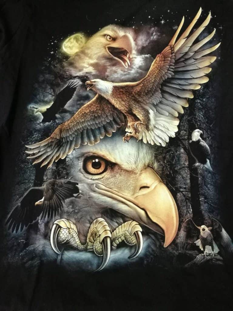 Bedruckte T-Shirts mit Tiermotiv für Damen und Herren - Adler Weißkopfseeadler Mix - gründlich sparen - einkaufen in bad grund 