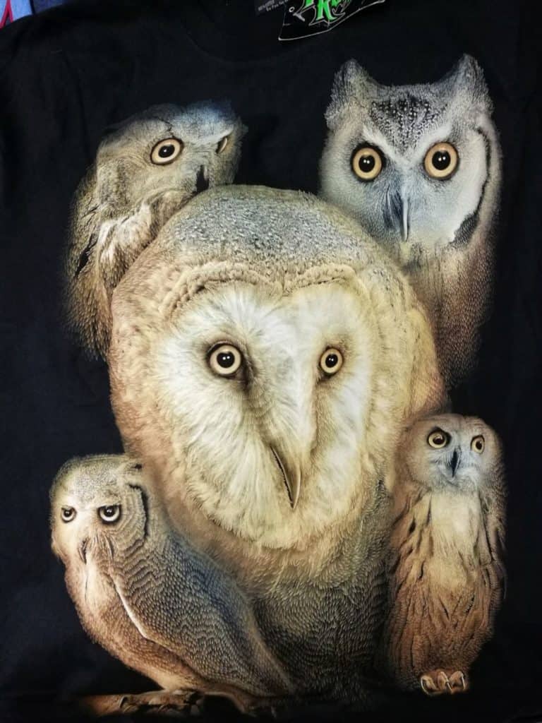 Bedruckte T-Shirts mit Tiermotiv für Damen und Herren - Eule weiß Schleiereule - gründlich sparen - einkaufen in bad grund 