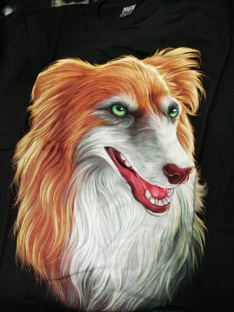 Bedruckte T-Shirts mit Tiermotiv für Damen und Herren - Hund colly - gründlich sparen - einkaufen in bad grund 