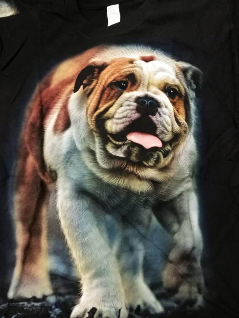 Bedruckte T-Shirts mit Tiermotiv für Damen und Herren - Hund franz. Bulldogge - gründlich sparen - einkaufen in bad grund 