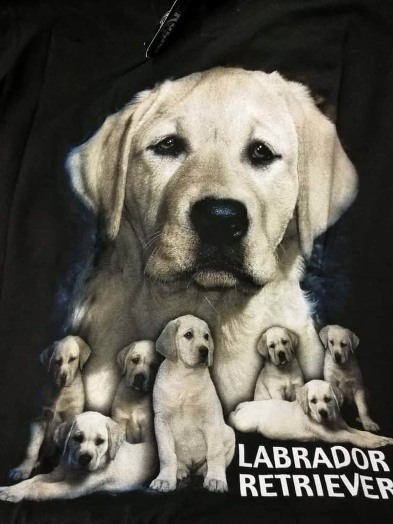 Bedruckte T-Shirts mit Tiermotiv für Damen und Herren - Hund Labrador Retriever weiß mit welpen - gründlich sparen - einkaufen in bad grund 