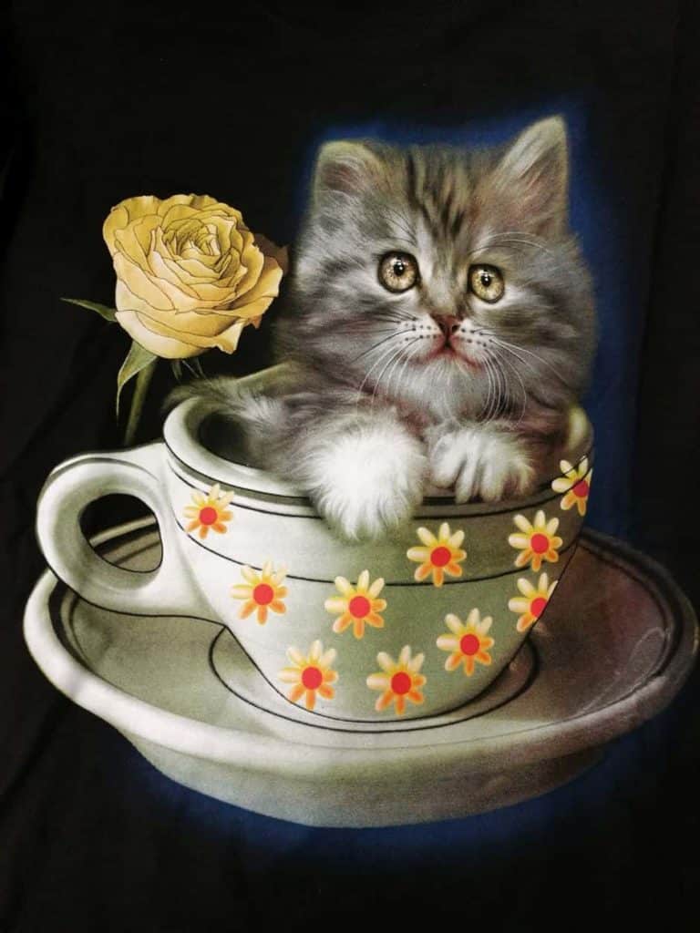 Bedruckte T-Shirts mit Tiermotiv für Damen und Herren - Katze in Tasse - gründlich sparen - einkaufen in bad grund