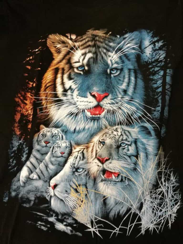 Bedruckte T-Shirts mit Tiermotiv für Damen und Herren - Tiger weiß rudel Sonnenuntergang - gründlich sparen - einkaufen in bad grund 