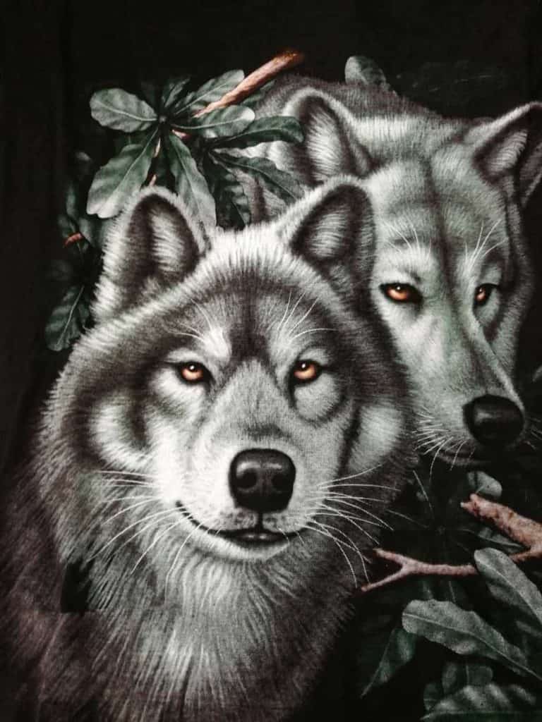 Bedruckte T-Shirts mit Tiermotiv für Damen und Herren - 2 Wölfe Wald - gründlich sparen - einkaufen in bad grund