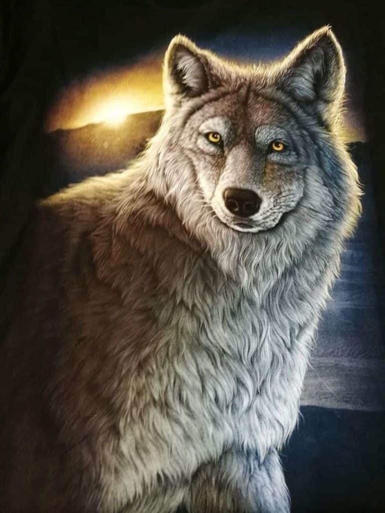 Bedruckte T-Shirts mit Tiermotiv für Damen und Herren - Wolf Sonnenuntergang - gründlich sparen - einkaufen in bad grund